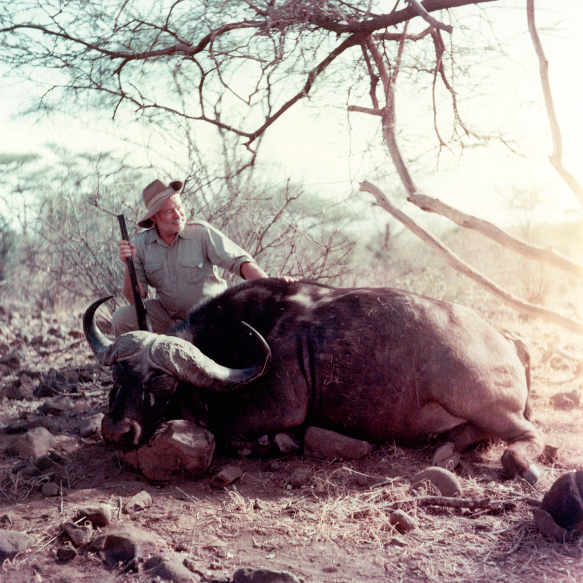 Westley Richards .577 Nitro Express · archive view 3
